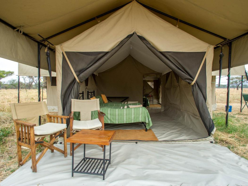 family tent-tembo -safari-immagini-tanzania-africa