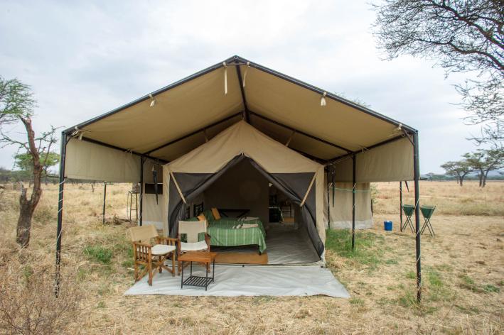 family tent-tembo -safari-immagini-tanzania