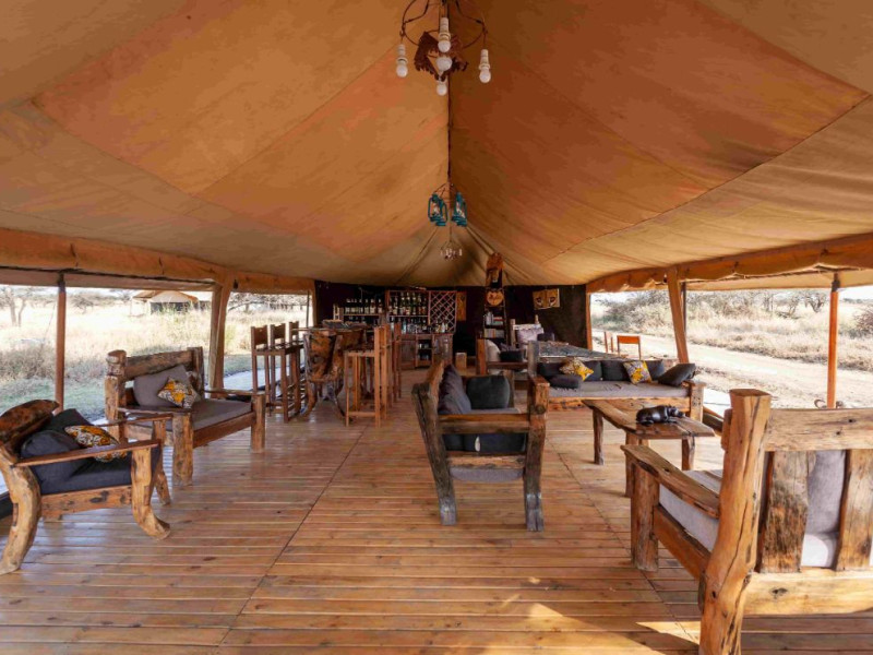 Lounge-Bar-Mini-Safari-Serengeti