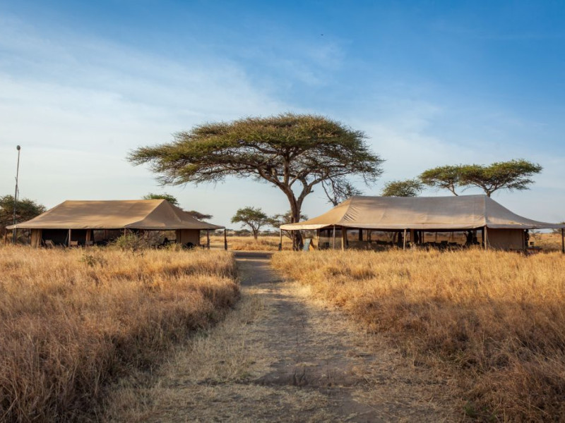 main-tends-outside-Mini-Safari-Serengeti