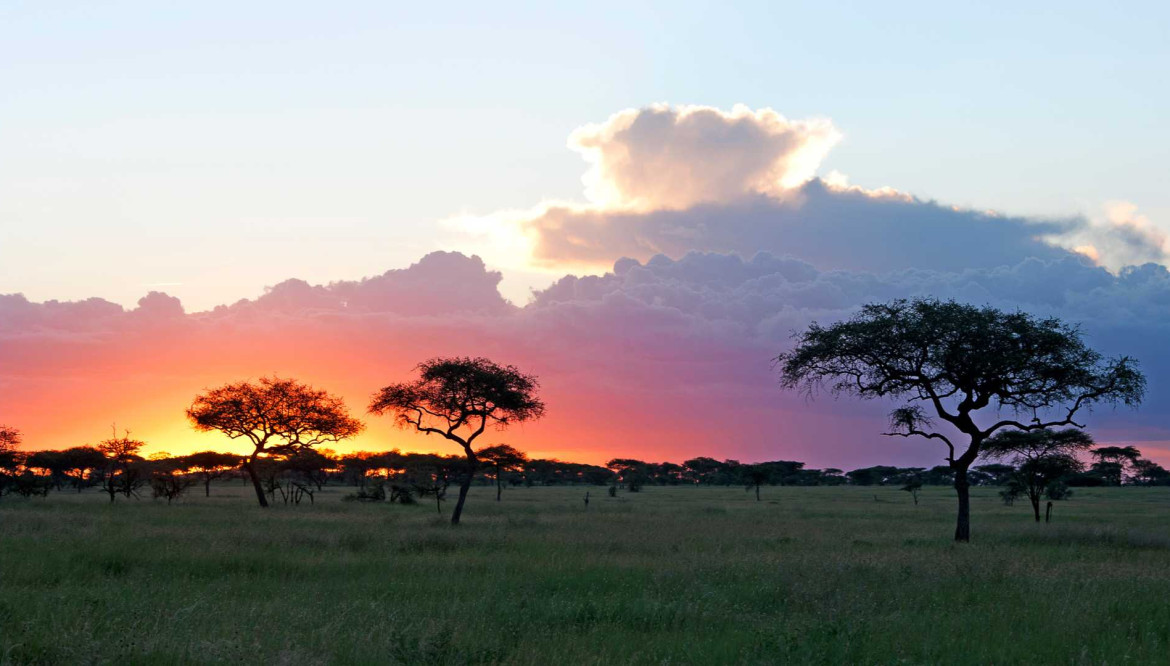 La Tanzania oltre il Serengeti: Ruaha, Selous e le altre meraviglie del Sud