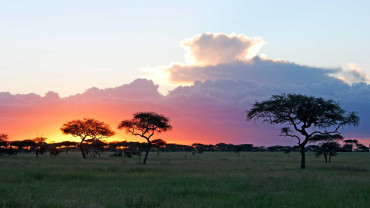 Tanzania Beyond the Serengeti: Ruaha, Selous and Other Wonders of the South