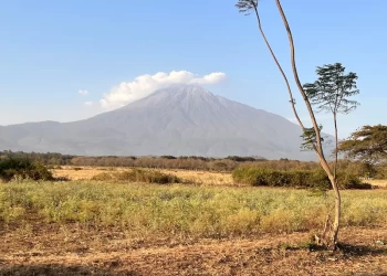 Monti e parchi in Tanzania a ottobre