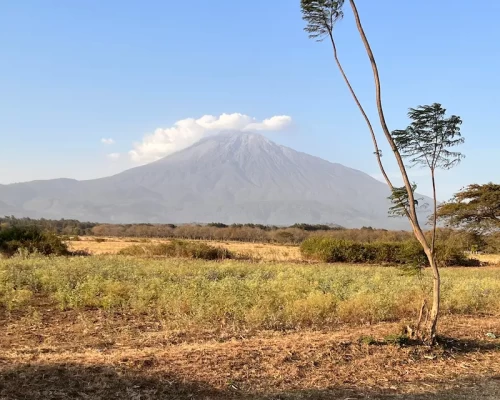 Monti e parchi in Tanzania a ottobre