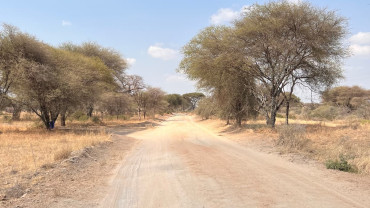 July and august in Tanzania: the long dry season