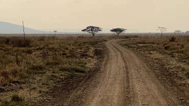La savana africana attraversata su quattro ruote