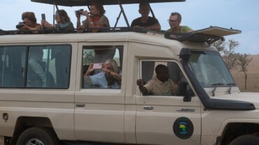 Il tuo primo safari in Tanzania: guida completa per prepararsi a un’esperienza indimenticabile