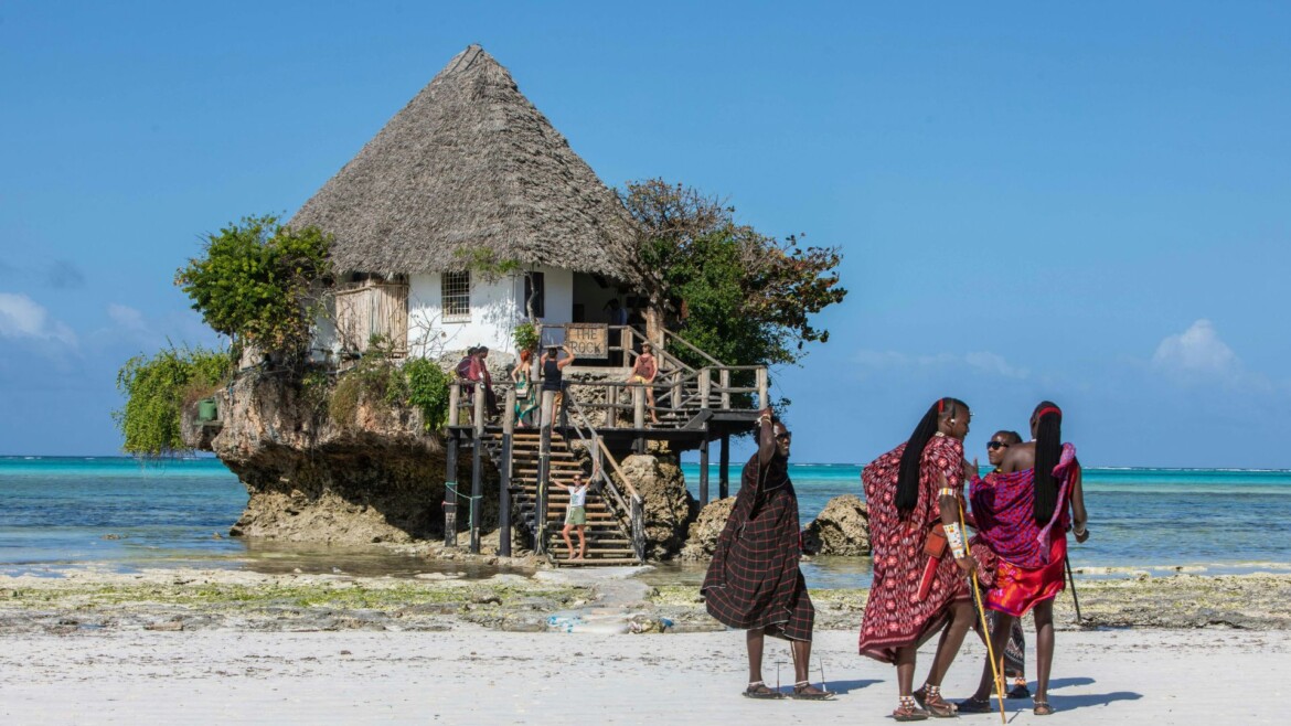Safari from Zanzibar: the best way to enjoy a short safari in Tanzania
