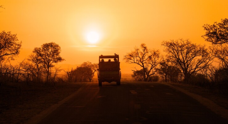 How Long Should a Safari in Tanzania Be? Guide to 4–10 Day Itineraries