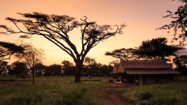 Mini Safari in Tanzania: who it’s for, best parks, and how to combine it with Zanzibar